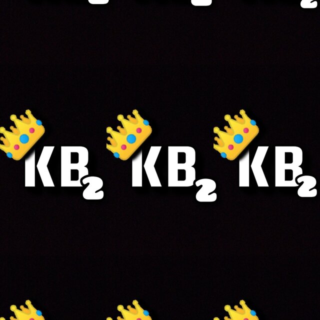 THE  KB EXPERIENCE 2