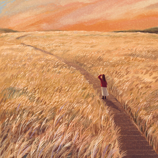 Late Autumn