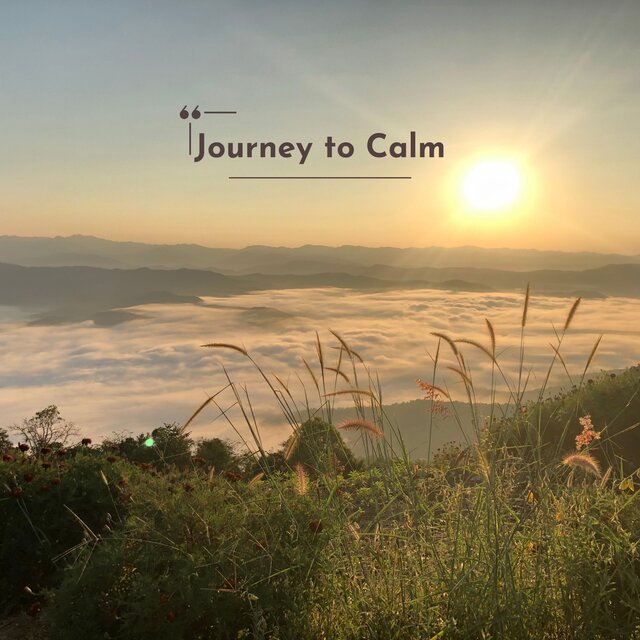 Journey to Calm