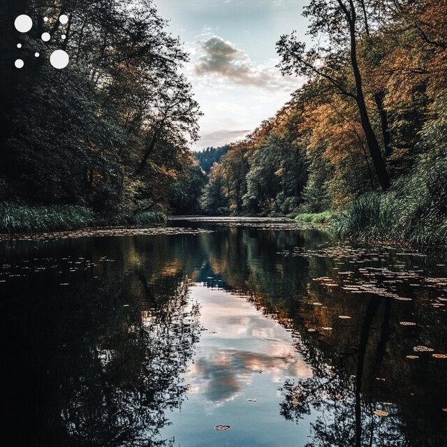 Enchanted Calm