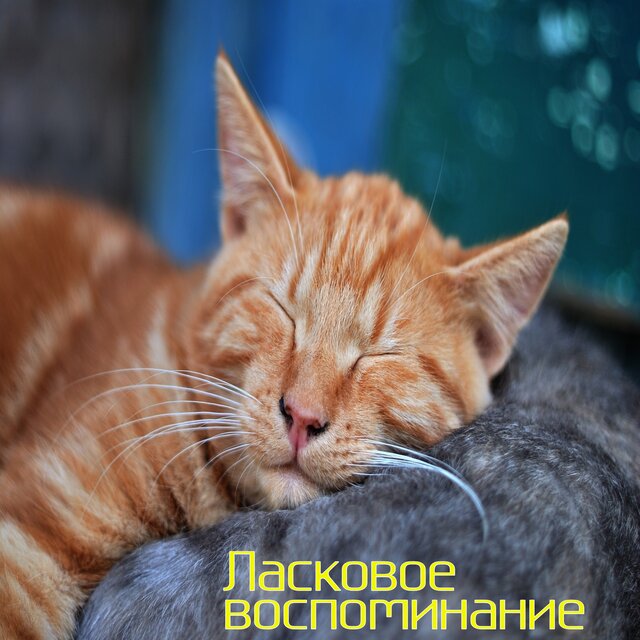 Ласковое воспоминание