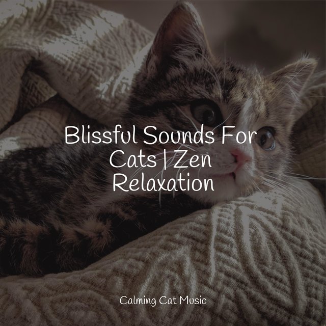 Blissful Sounds For Cats | Zen Relaxation by Jazz Music Therapy for ...