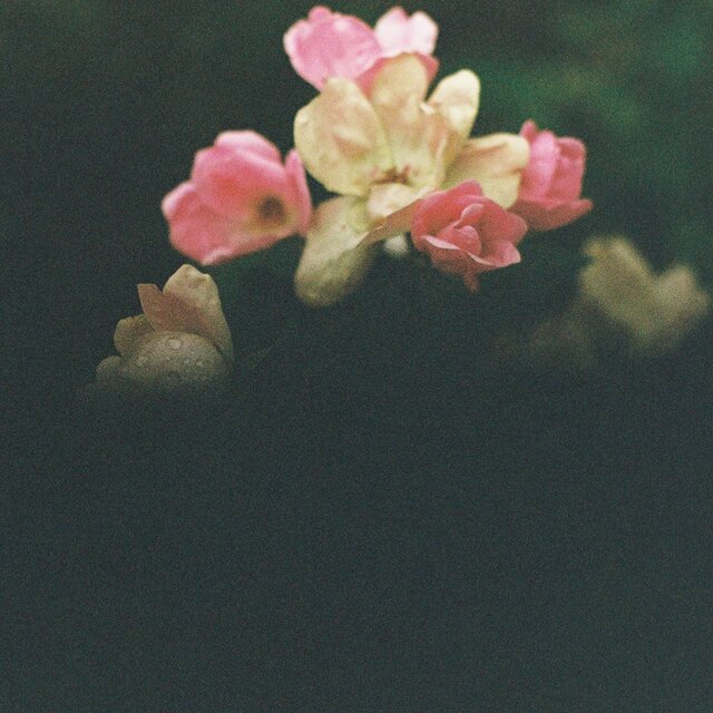 Breath As Love