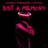 Just a Memory