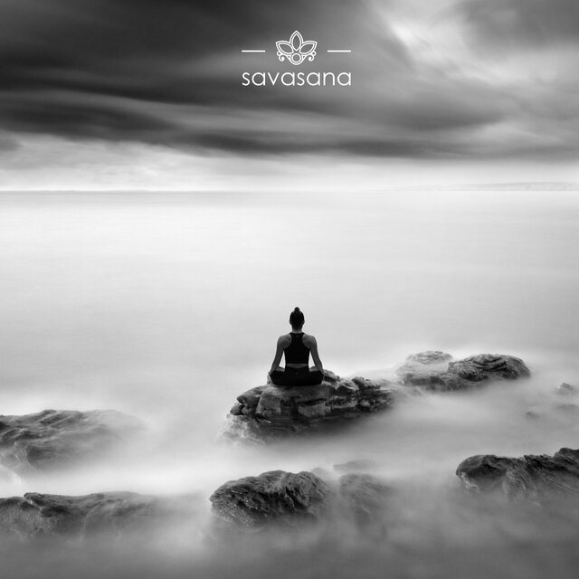 Echoes of Stillness
