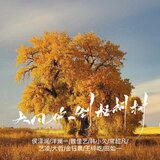 大风吹倒梧桐树