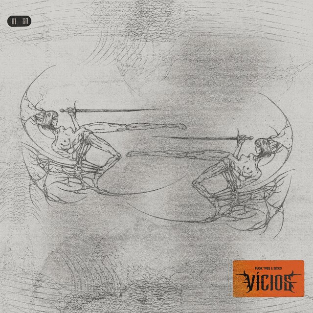 Vícios