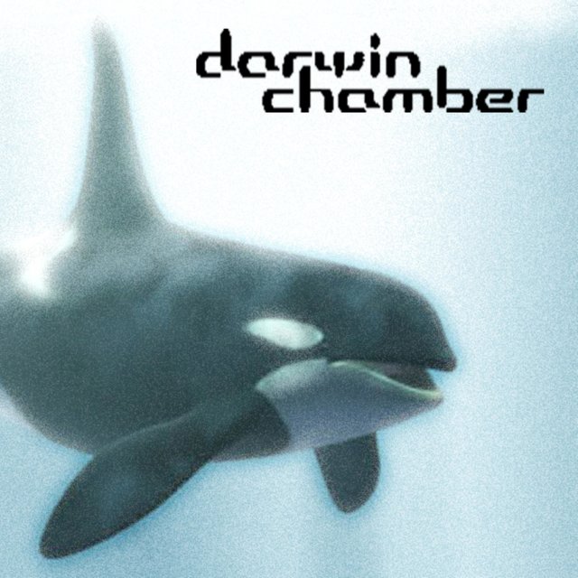3-D Whale Songs