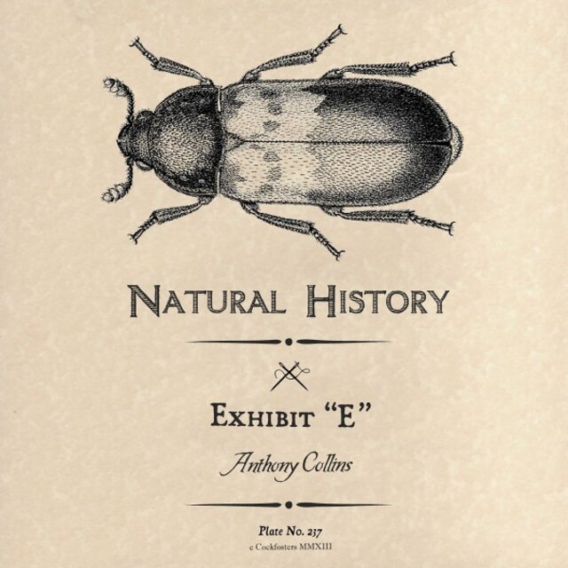 Exhibit 