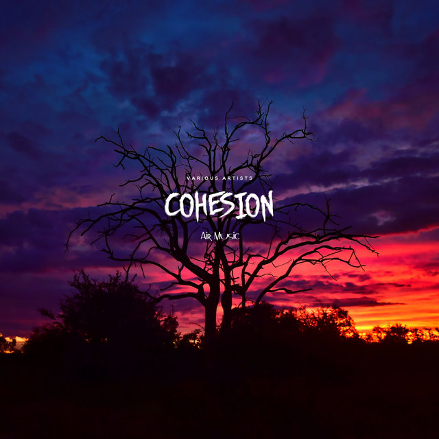 Cohesion