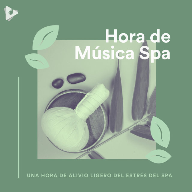 Una Hora de Alivio Ligero del Estrés del Spa