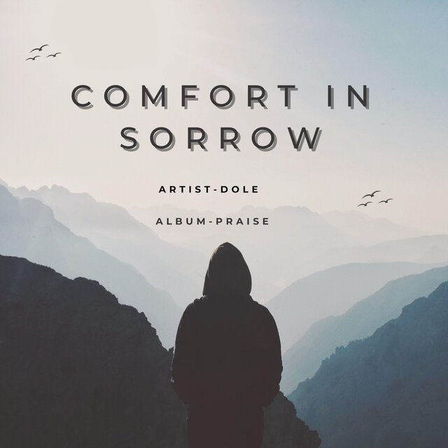 Comfort in Sorrow