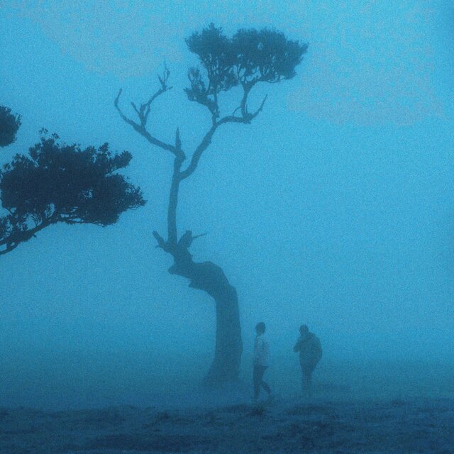 lost signals