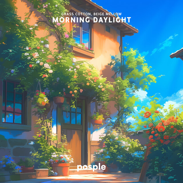 Morning Daylight