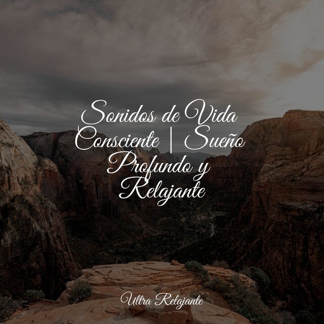 Sonidos de Vida Consciente | Sueño Profundo y Relajante