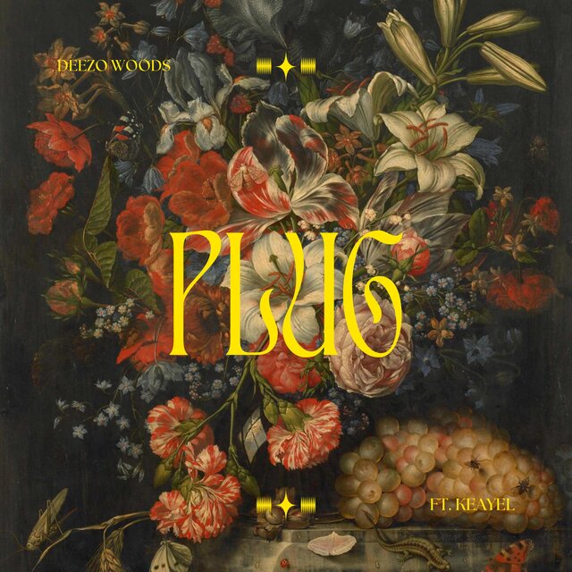 PLUG (feat. Kaeyel)