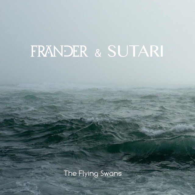 The Flying Swans