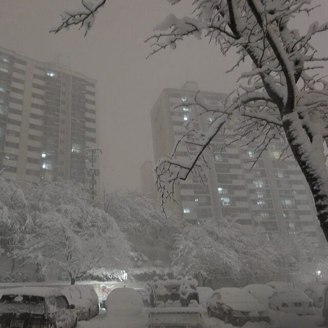 Winter Cold