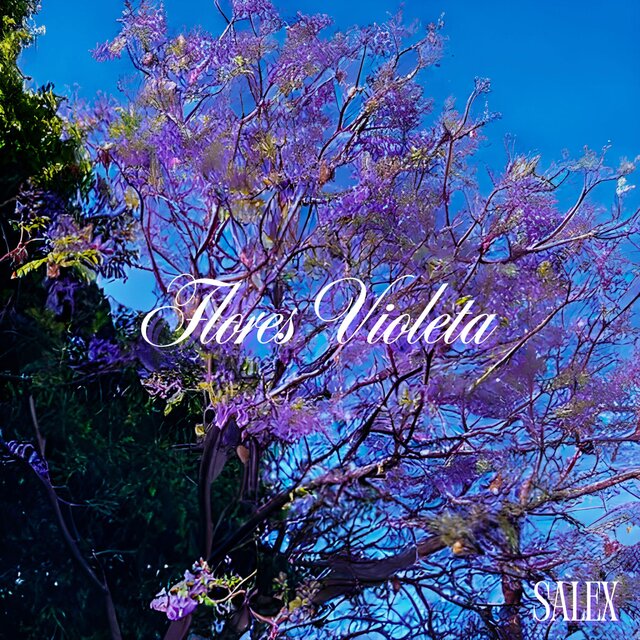 flores violeta