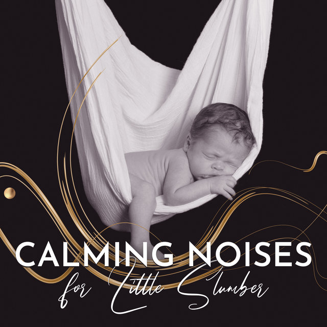 Calming Noises for Little Slumber: Music Perfect for Baby Problems with Sleep