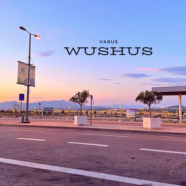 Wushus
