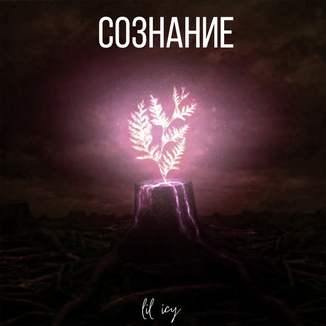 Сознание