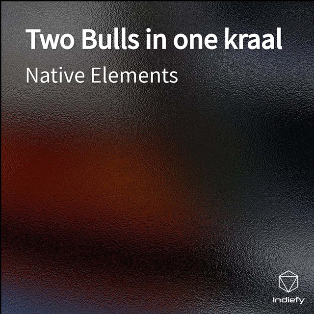 Two Bulls in one kraal