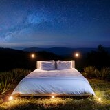 The Pulse Beneath The Sleep