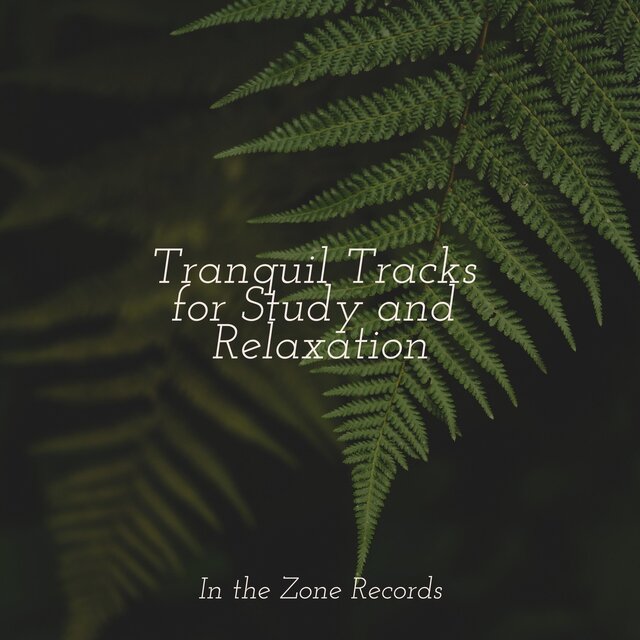 Tranquil Tracks for Study and Relaxation