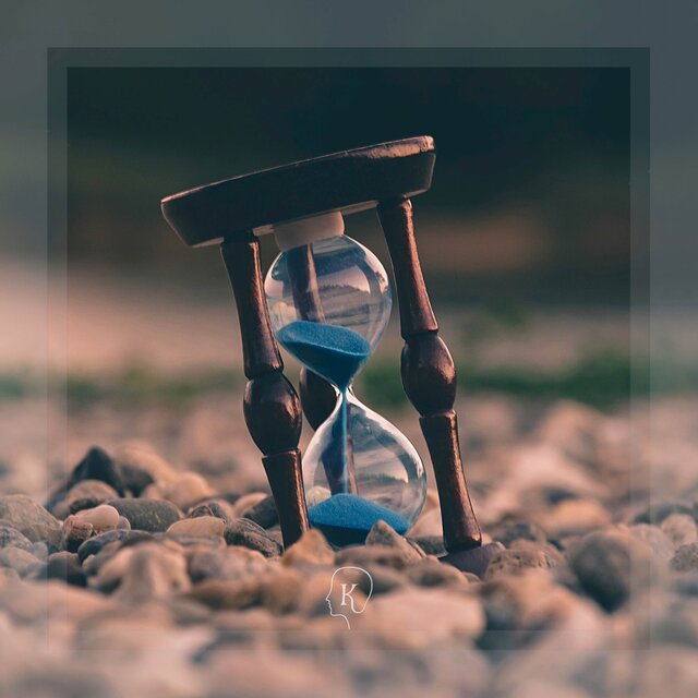 Life Cycles