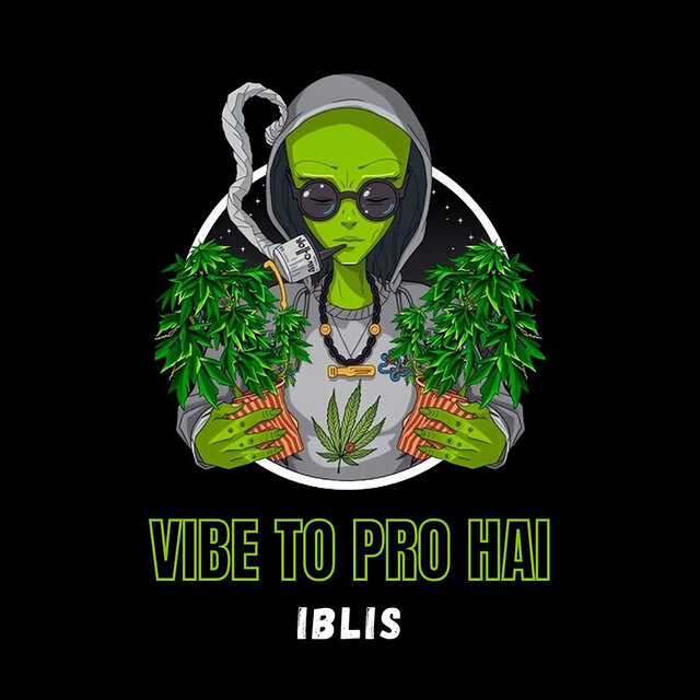 Vibe To Pro Hai