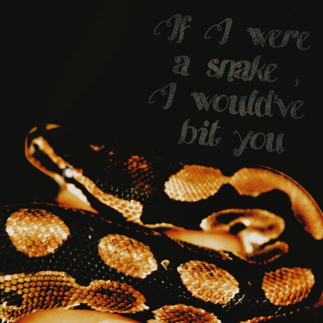 If I Were A Snake, I Would've Bit You