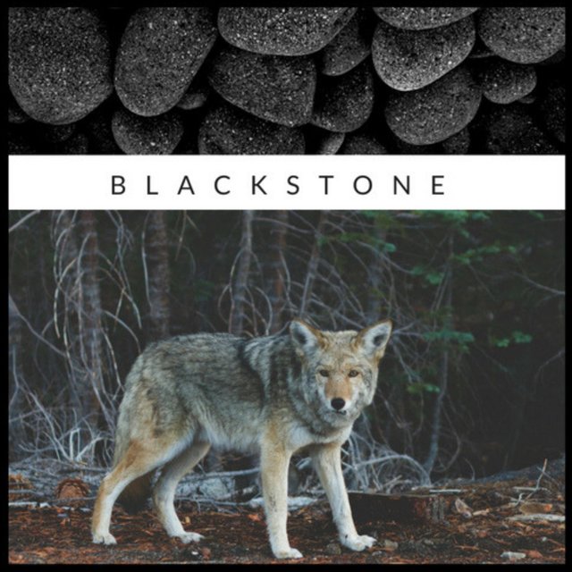 Blackstone
