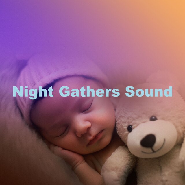 Night Gathers Sound