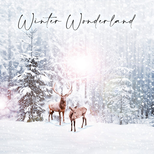 Winter Wonderland