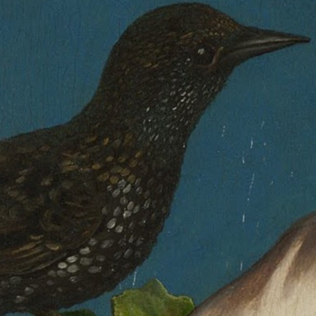 rusty mix #193 cover art