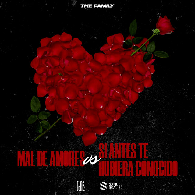Mal de Amores Vs Si Antes Te Hubiera Conocido