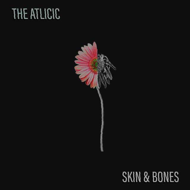 Skin & Bones