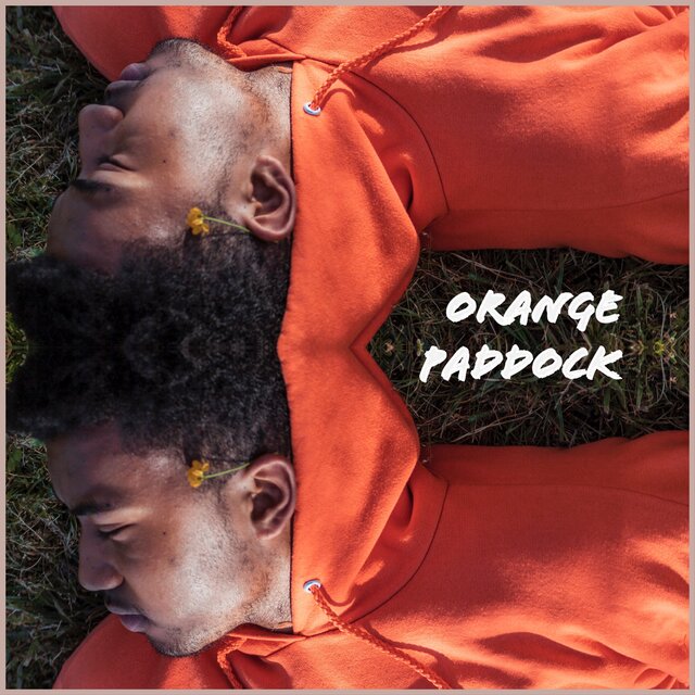 Orange Paddock