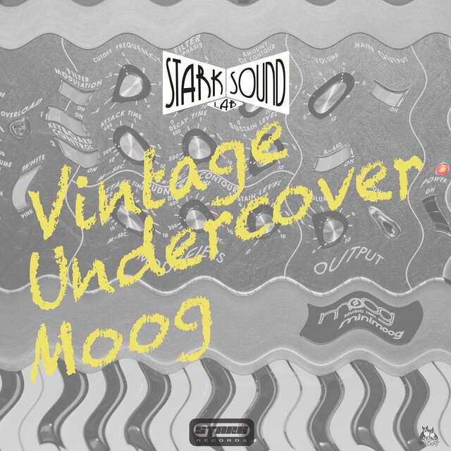 Vintage Undercover Moog