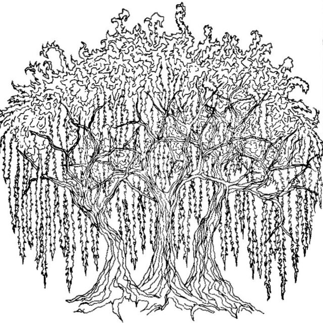 under the three willow trees