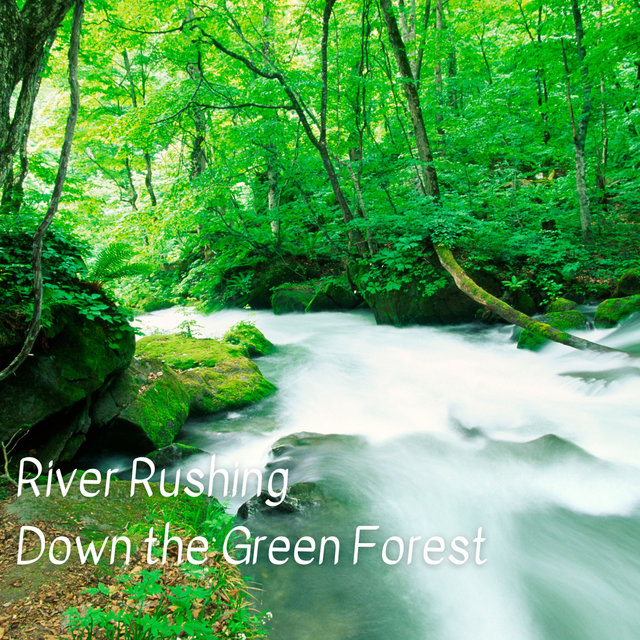 River Rushing Down the Green Forest - 2 Hours