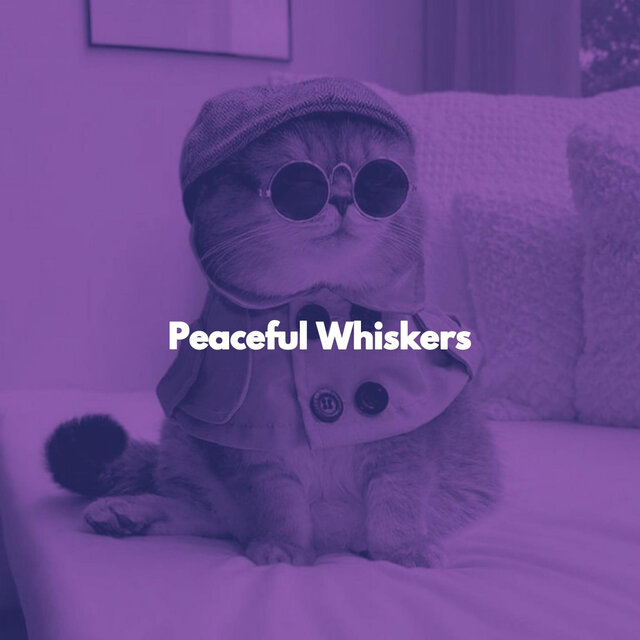 Peaceful Whiskers
