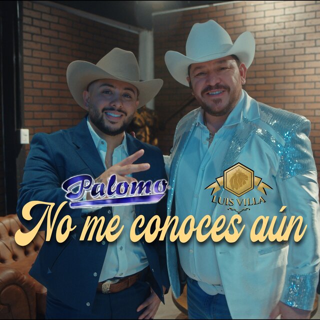 No Me Conoces Aún