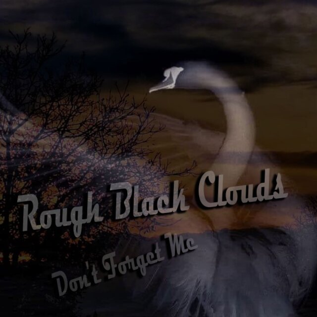 Don't Forget Me