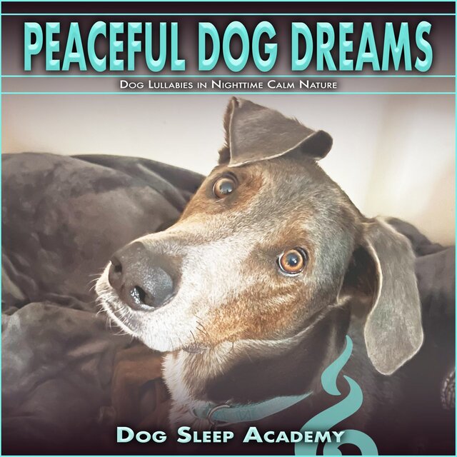 Peaceful Dog Dreams: Dog Lullabies in Nighttime Calm Nature