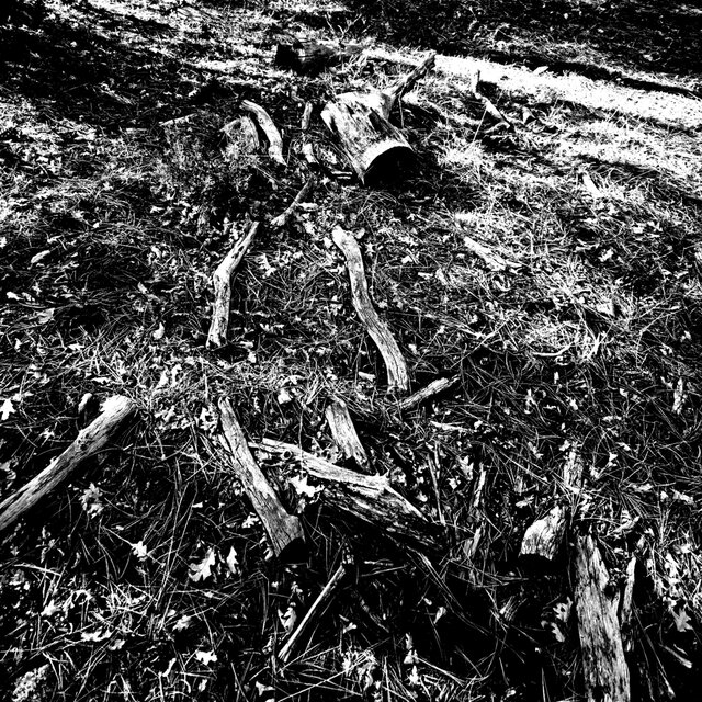 Flesh Ov Broken Promises