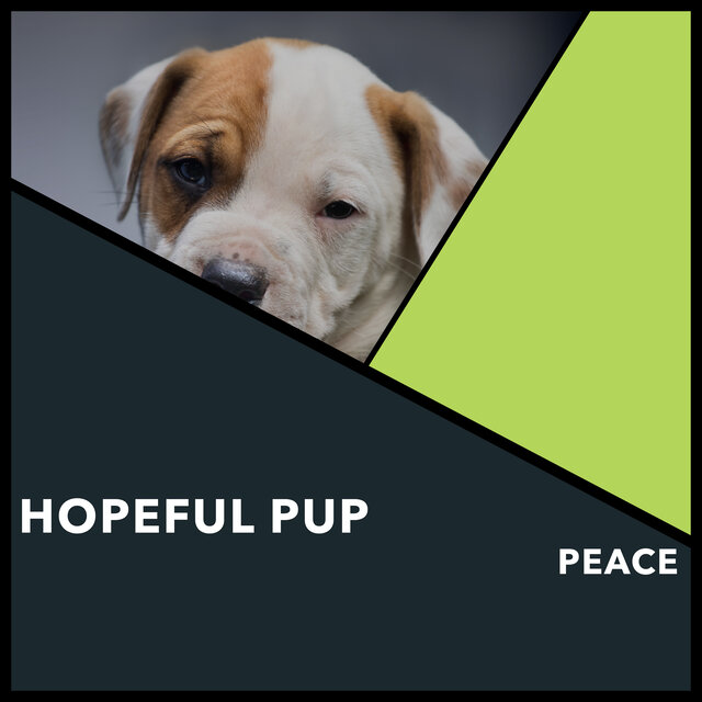 Hopeful Pup Peace