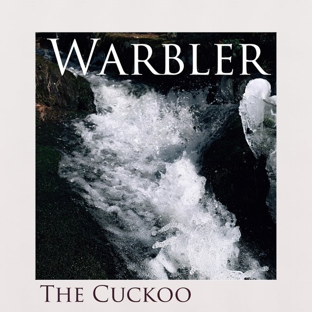 The Cuckoo