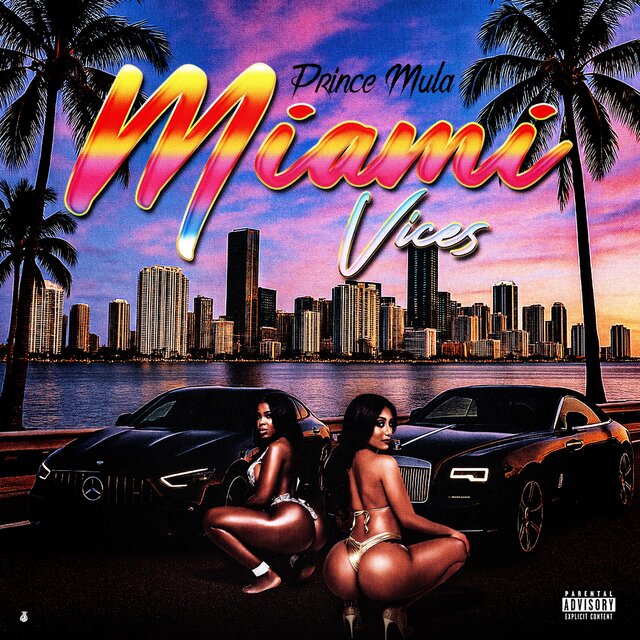 MIAMI VICES